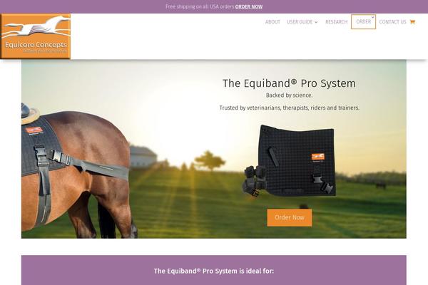 Site using Divi-form-builder plugin