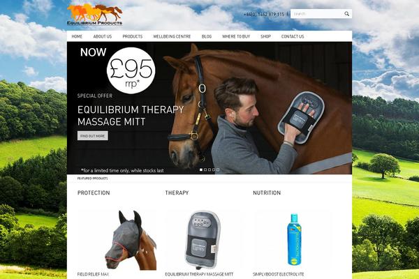 Equilibrium theme site design template sample