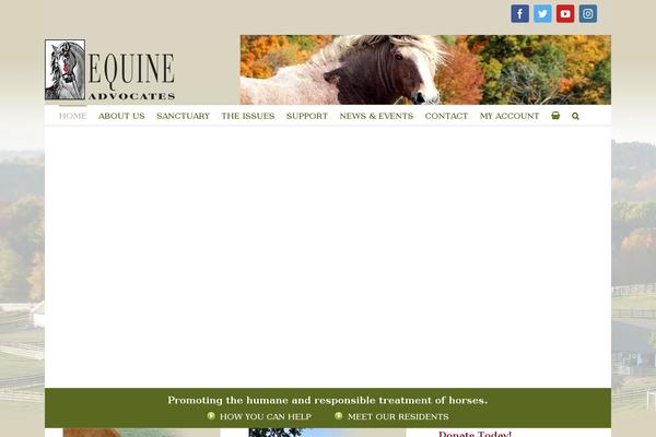 Site using Wc-variations-radio-buttons plugin