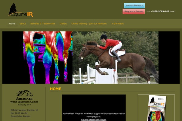 Blain theme site design template sample