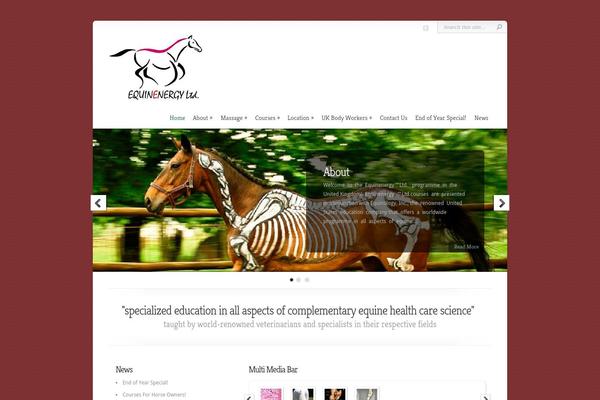 Chameleon theme site design template sample