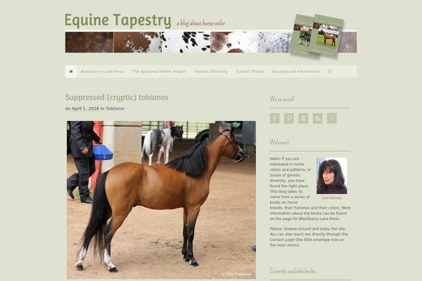 Site using Cat-tag-filter-widget plugin