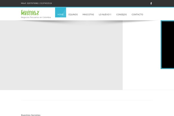 Nautica theme site design template sample