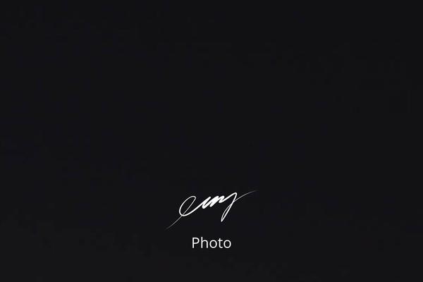HalfCreative theme site design template sample