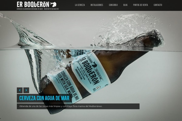 Lensa theme site design template sample