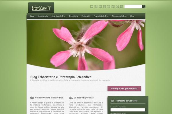 SmartOne theme site design template sample