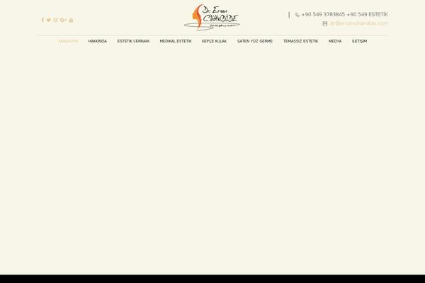 OneLife theme site design template sample