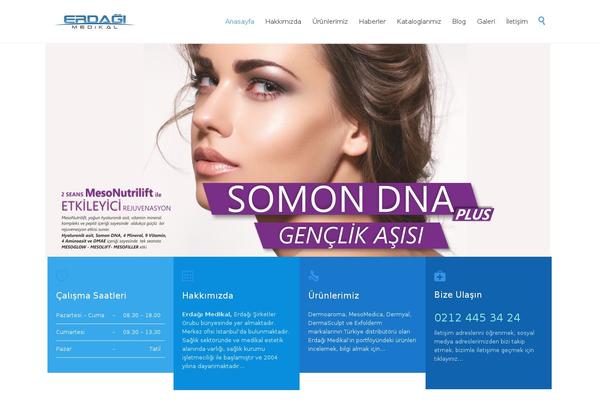 Site using Elementskit plugin