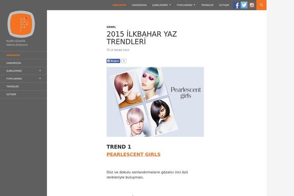 Twenty Fourteen theme site design template sample