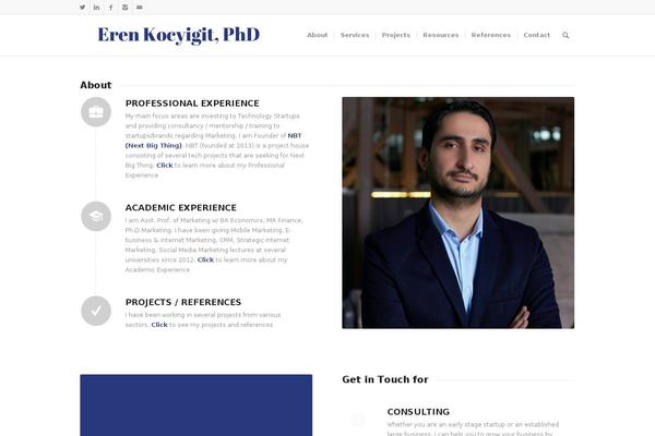 Site using WP Twitter Feeds plugin