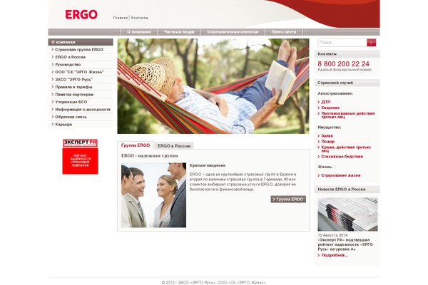 Ergo theme websites examples