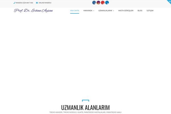 Site using Youtube-gallery-vc plugin