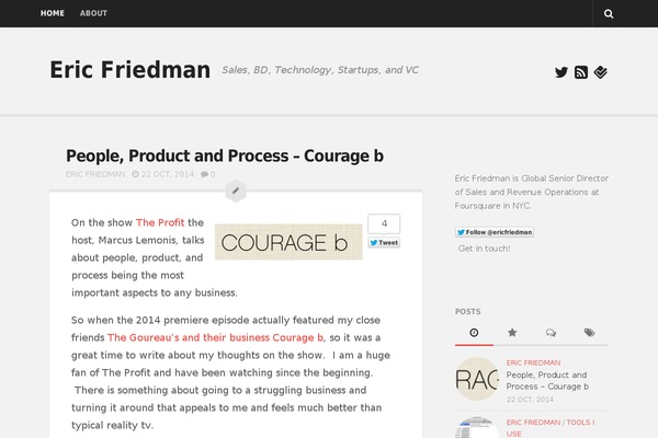 Schema theme site design template sample