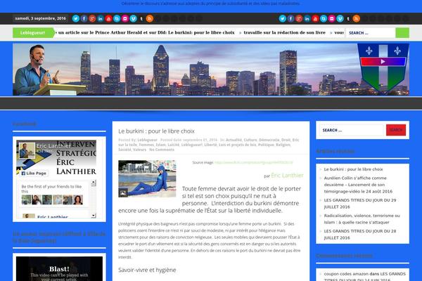 Effectivenews theme site design template sample