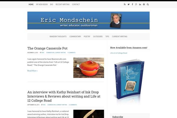 ericmondschein.com site used WP-Prosperity