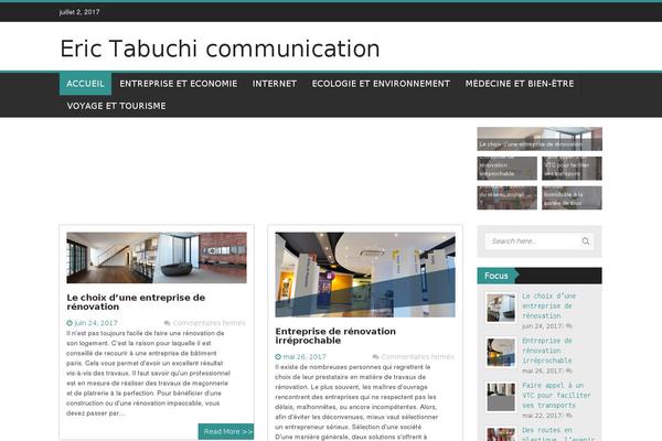 WP FanZone theme site design template sample