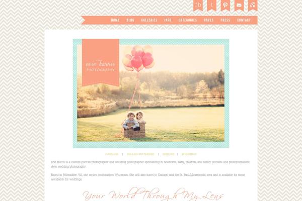 Prophoto4 theme site design template sample