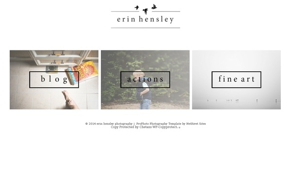 ProPhoto 5 theme site design template sample