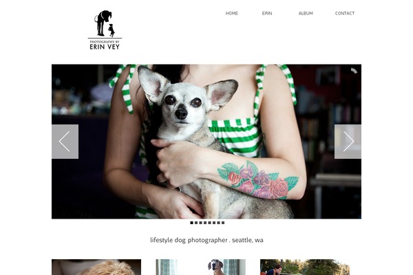 erinvey.com site used Anise