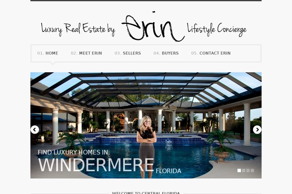 Theme1389 theme site design template sample