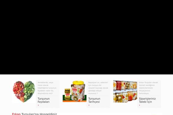 erkantursulari.com site used Tursu
