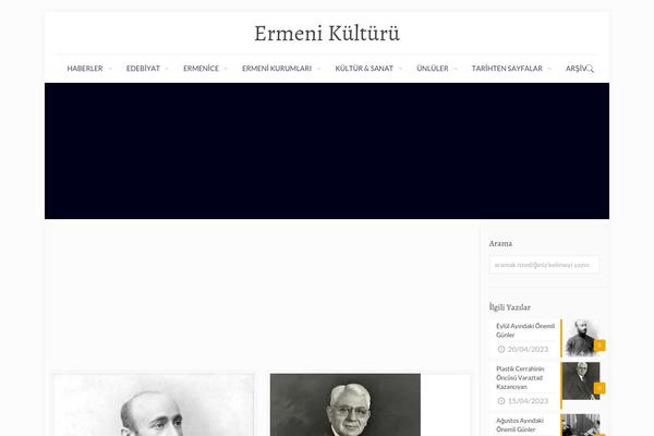Site using Ads-for-wp plugin