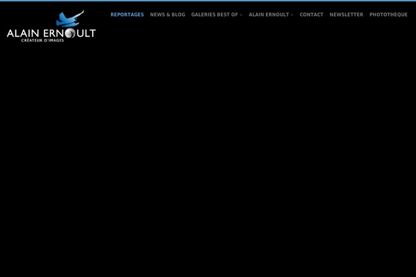 Qamar theme site design template sample