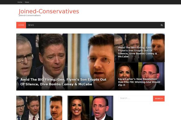 Stinger3ver20140124 theme site design template sample