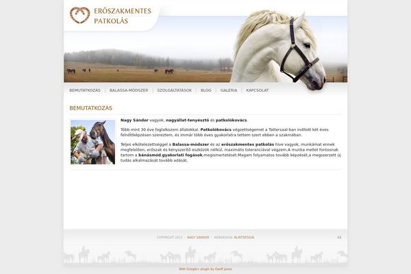 Emp theme site design template sample