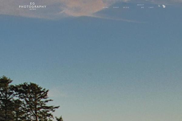 Editor theme site design template sample