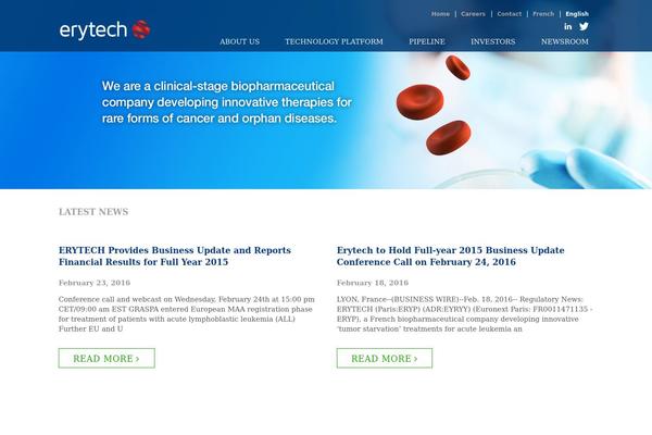 Custom theme site design template sample