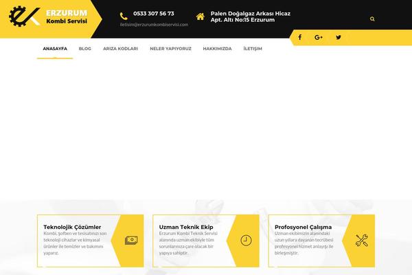erzurumkombiservisi.com site used Tm-renovation