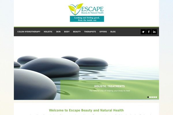 Spalon theme site design template sample