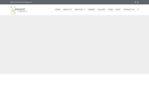 Site using Wp-captcha-booster plugin