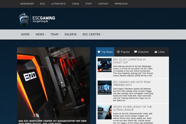 publica theme websites examples