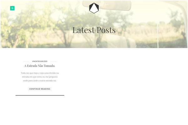 Brook website example screenshot