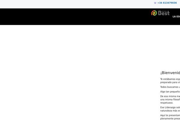 Site using Responsive Menu plugin