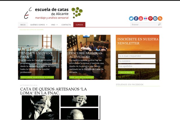 PlatformPro theme site design template sample