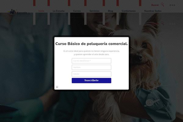 PawFriends theme site design template sample