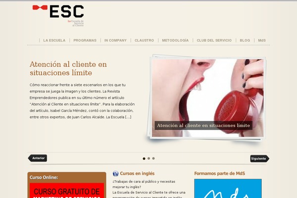 Starter theme site design template sample