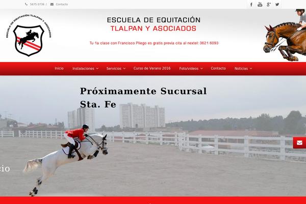 Envision theme site design template sample