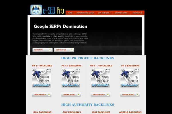 Wisebusiness theme site design template sample