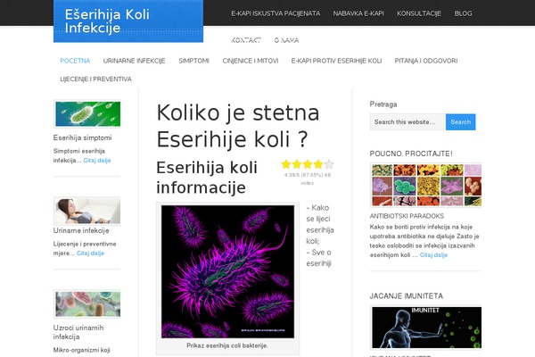 Eleven40 theme site design template sample
