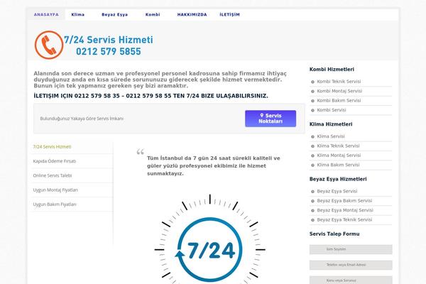 Libra theme site design template sample