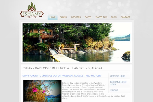 eshamy theme websites examples