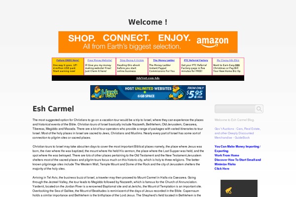 Site using Auto Affiliate Links plugin