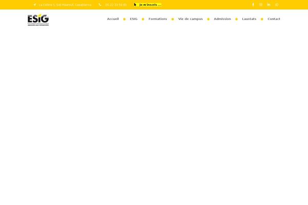 Site using Wp-popups-lite plugin
