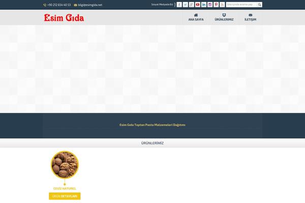 Safirkurumsal theme site design template sample