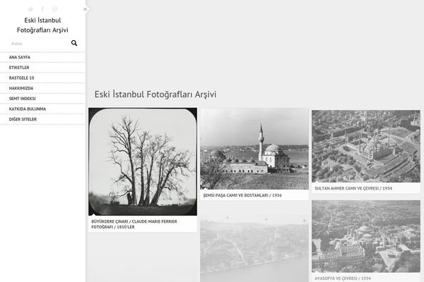 Division theme site design template sample