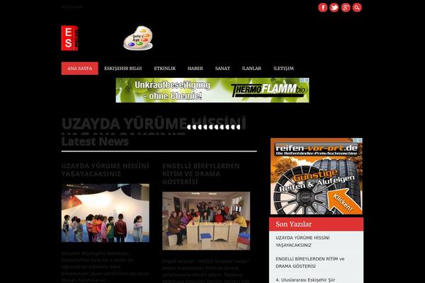 The Newswire theme site design template sample